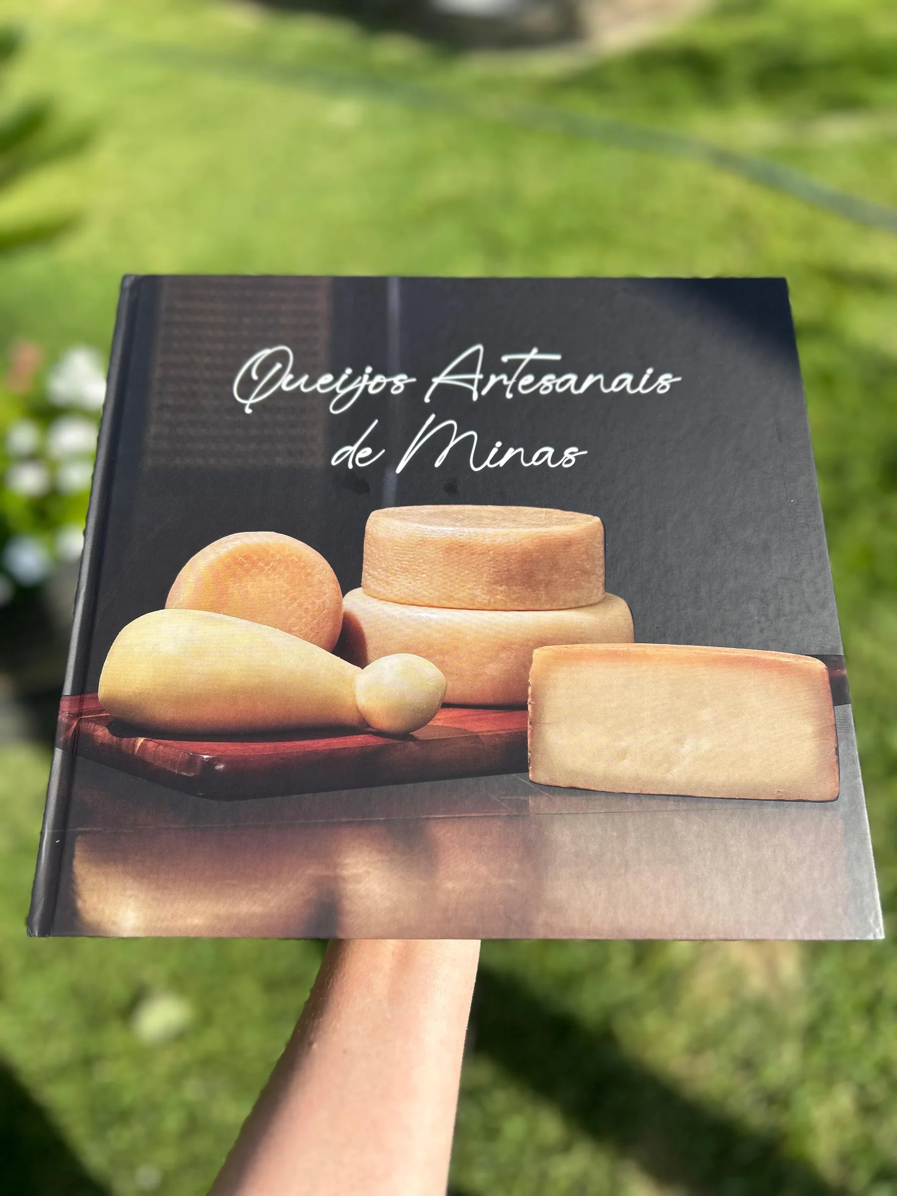 Cartão com os tipos de queijos artesanais produzidos em Minas